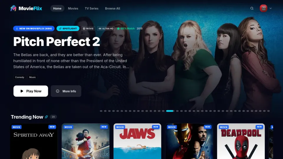 MovieFlix library homepage showing featured artwork and media rows