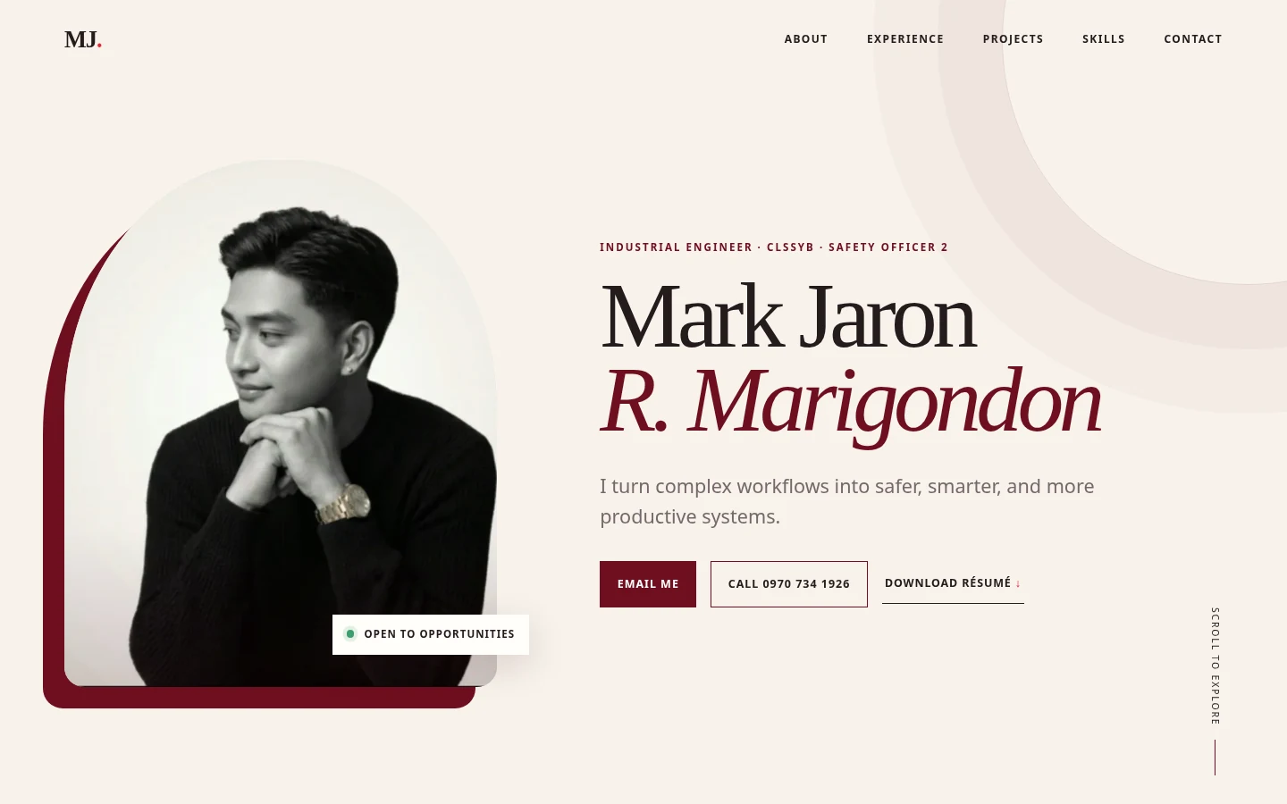 Mark Jaron's Portfolio interface screenshot